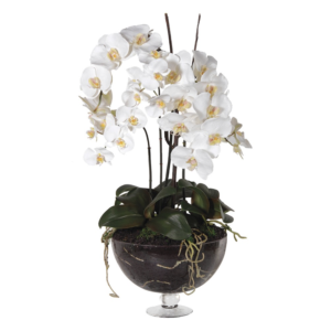 Our large white orchids in a glass bowl on a stem are the epitome of elegance. Featuring large, lifelike flowers with delicate light yellow centers and deep green leaves, these orchids bring a touch of sophistication to any space. They are incredibly realistic, yet require no watering or light maintenance, offering you the beauty of fresh orchids without any of the upkeep. Perfect for enhancing your home or office décor.
Measurements: H:79 cm.