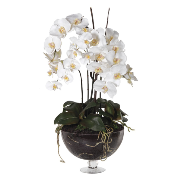 Our large white orchids in a glass bowl on a stem are the epitome of elegance. Featuring large, lifelike flowers with delicate light yellow centers and deep green leaves, these orchids bring a touch of sophistication to any space. They are incredibly realistic, yet require no watering or light maintenance, offering you the beauty of fresh orchids without any of the upkeep. Perfect for enhancing your home or office décor.
Measurements: H:79 cm.